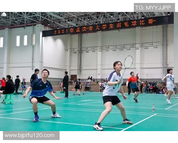 重庆与北京羽毛球队赛后分析个人能力对比及表现总结