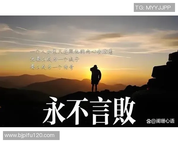 陈磊专访：深入探讨篮球成功背后的秘诀与心路历程